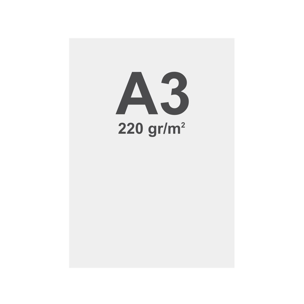 Impresión Premium para Banner Mini - A3 (29,7 x 42 cm)