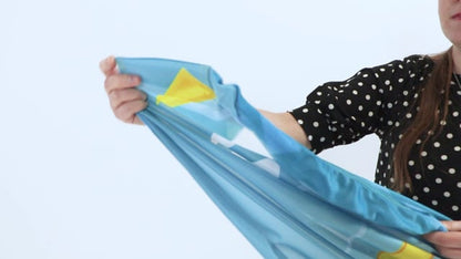 Bandera Publicidad Económica